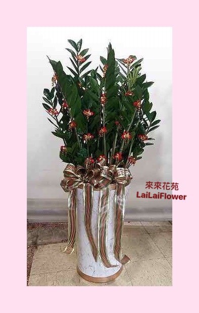 落地氣派金錢樹
