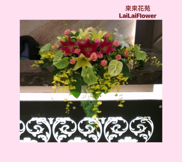 盆花(下垂款)
