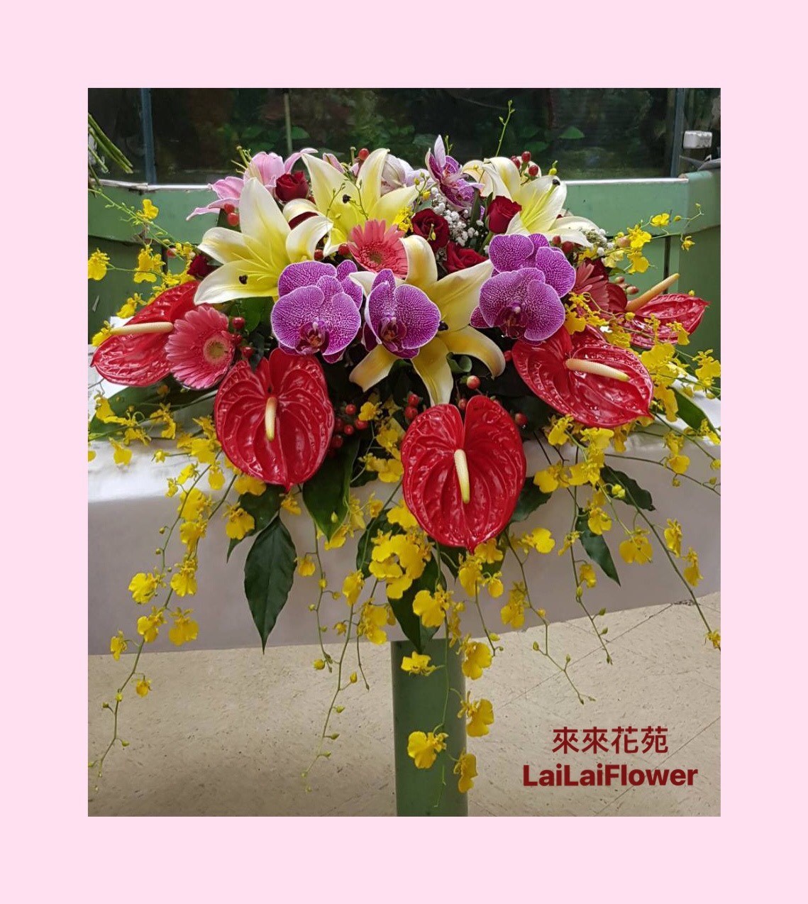 盆花(下垂款)