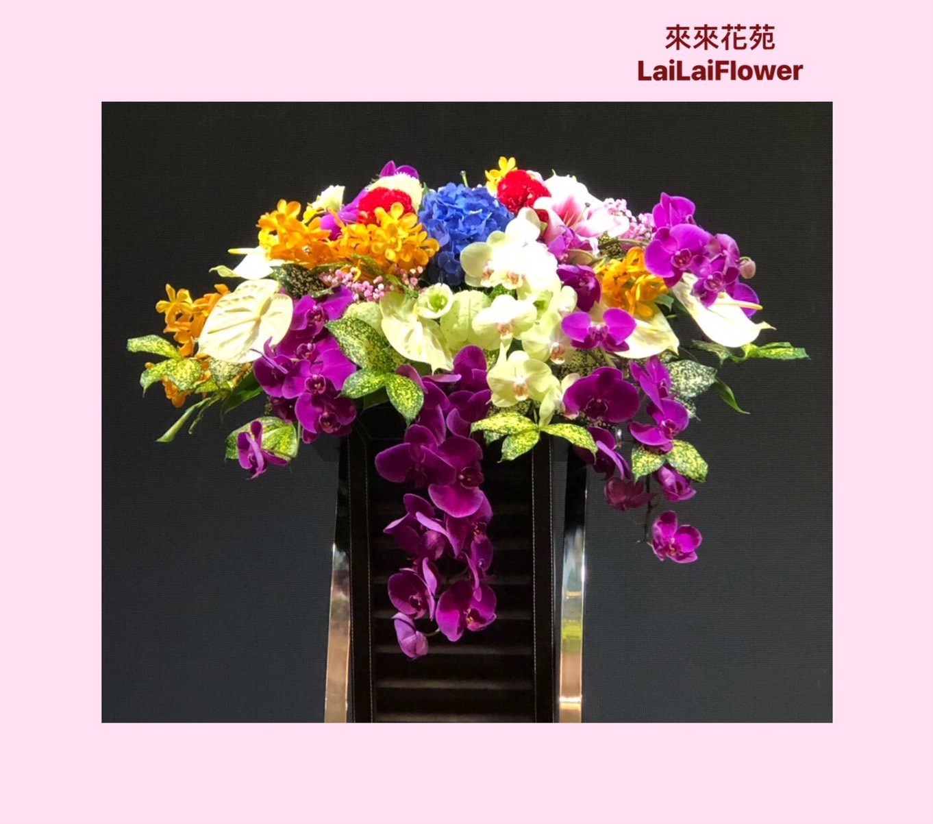 盆花(下垂款)