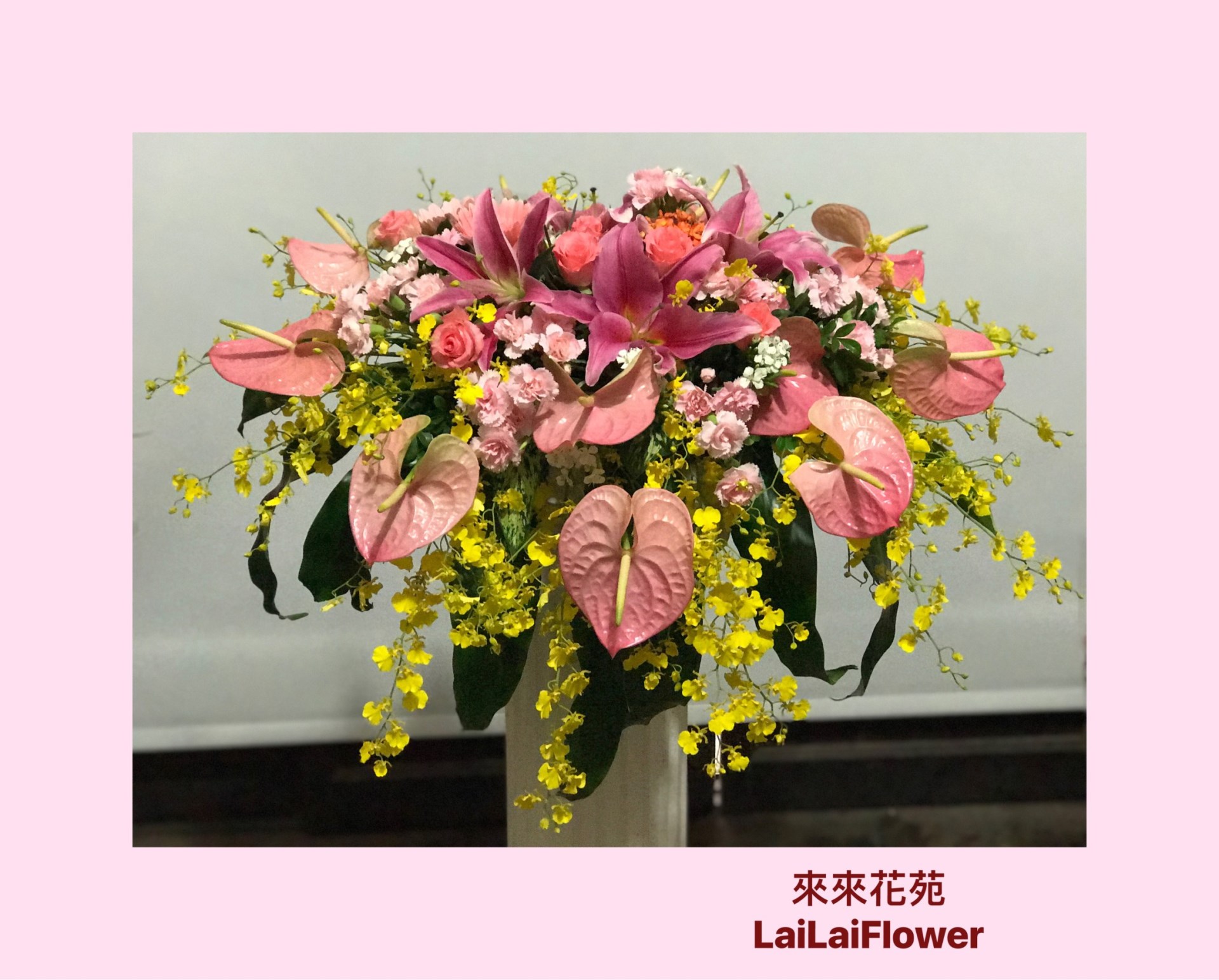 盆花(下垂款)