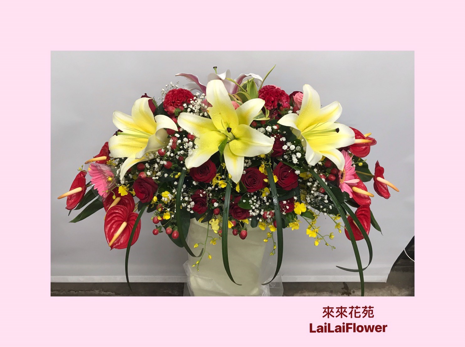 盆花(下垂款)