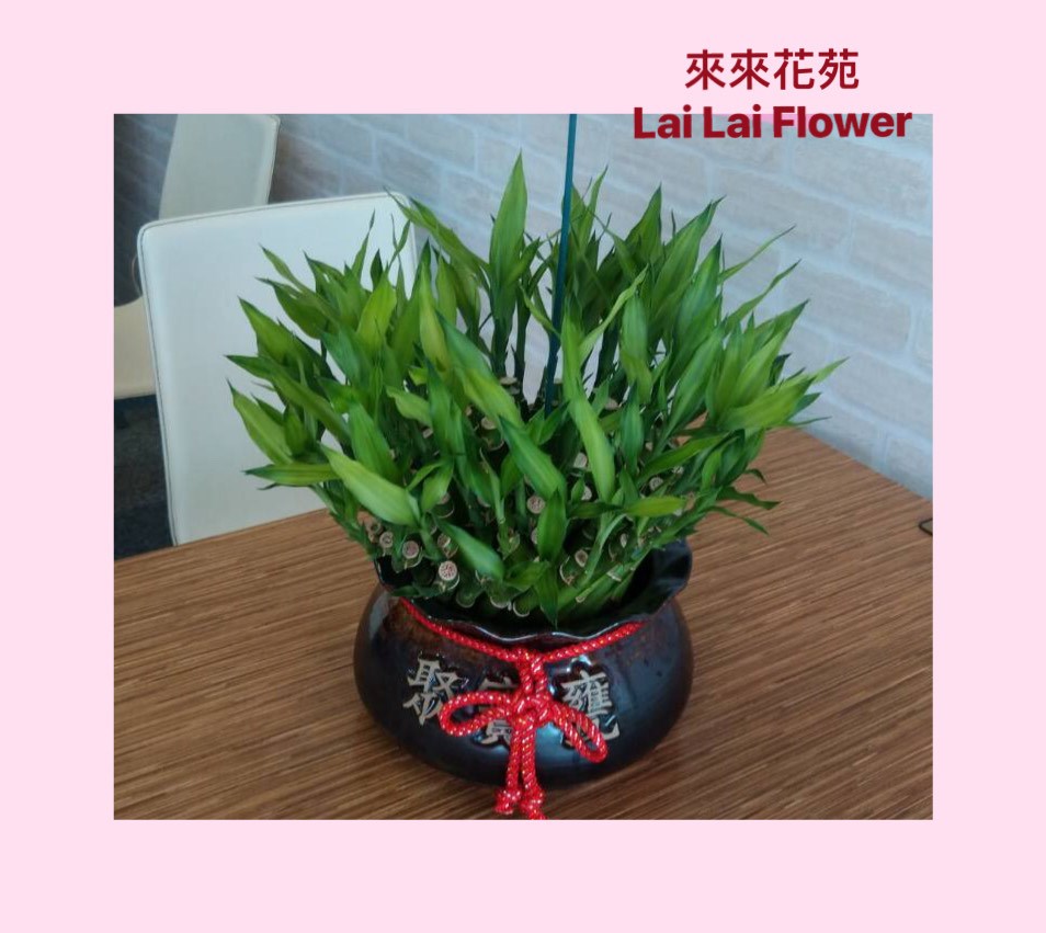 開運竹-聚寶甕