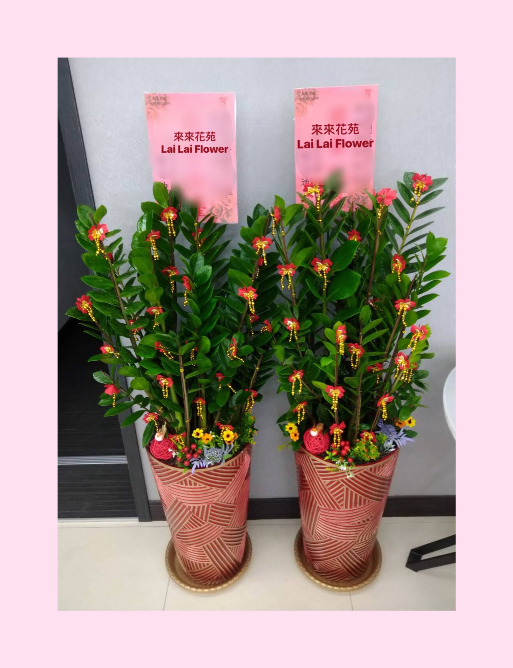落地金錢樹(對)