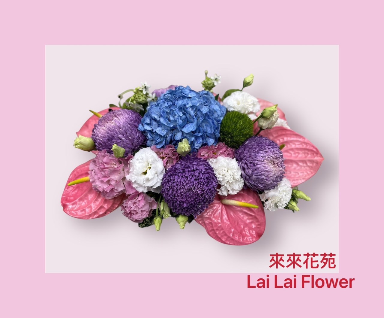 造型盆花