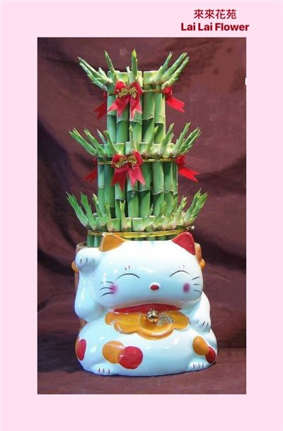 開運竹-貓咪款