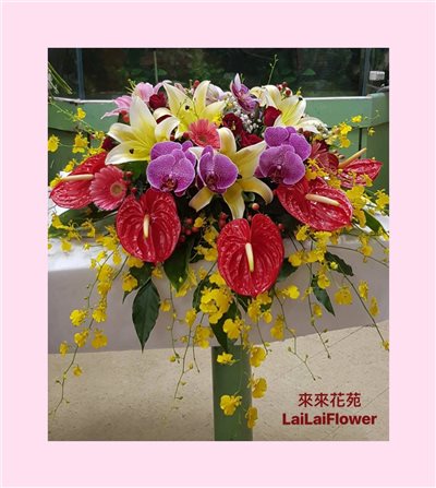 盆花(下垂款)