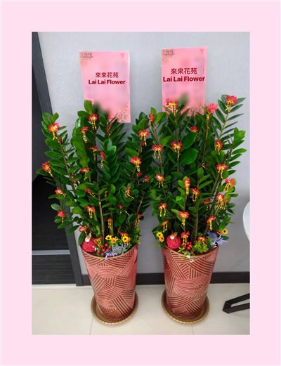 落地金錢樹(對)