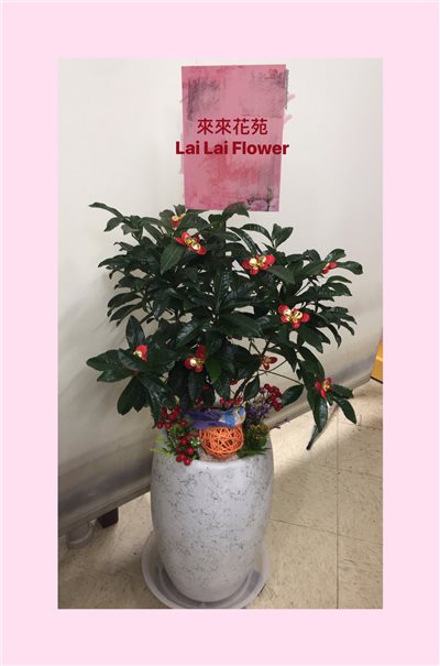 黃金萬兩